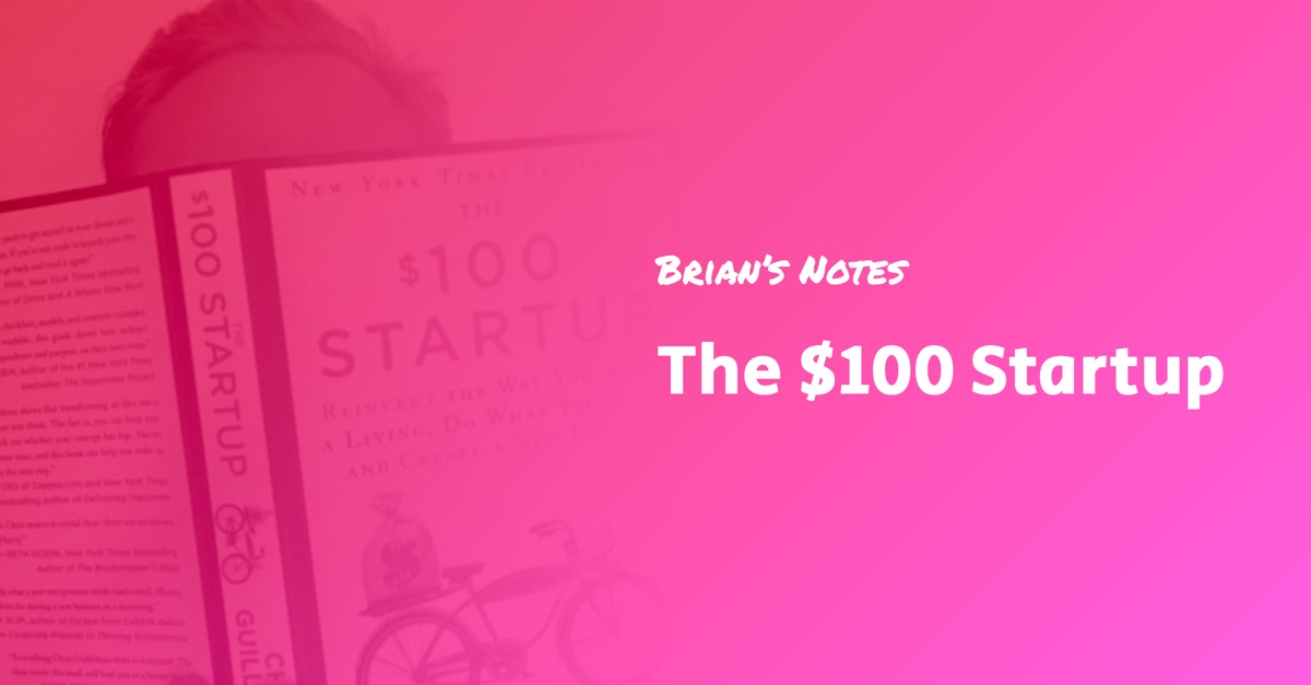 100 Dollar Startup Book Summary